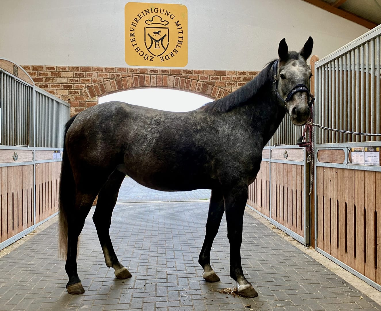 Thumbnail Call me Usha Z