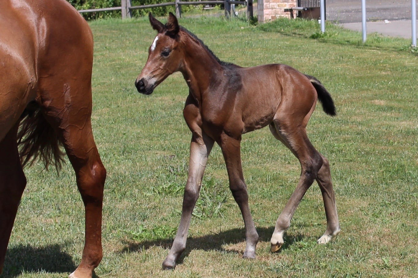 Thumbnail Dial my Number ME