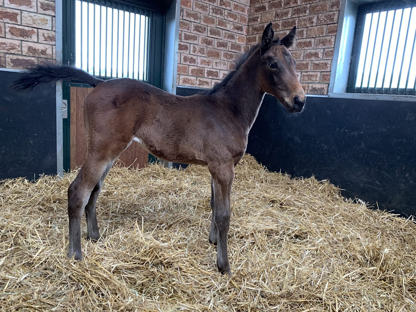 Thumbnail Only You ME