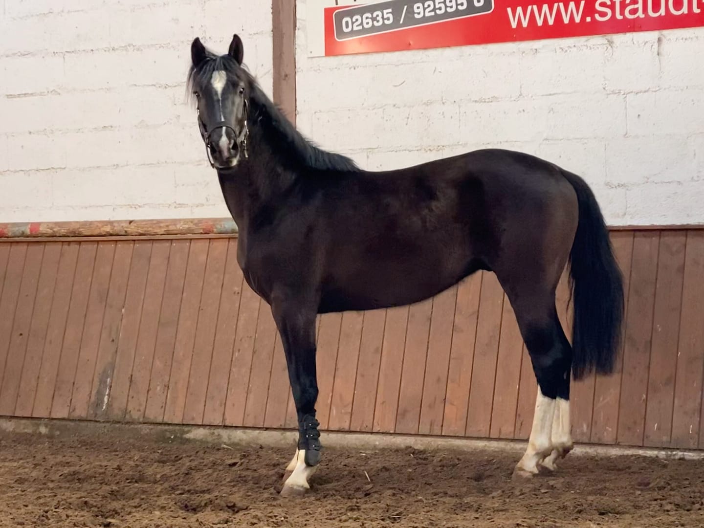 Thumbnail Big Easy II ME