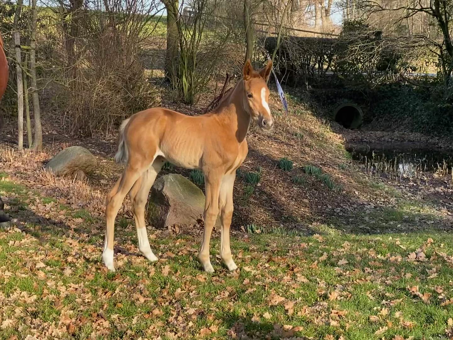 Thumbnail Count on me Usha Z