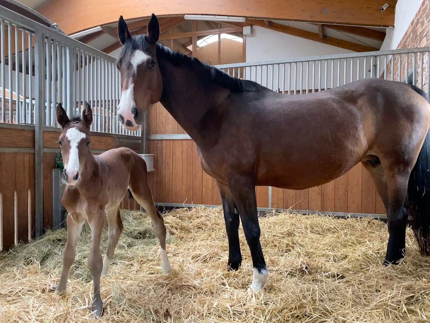 Thumbnail Chica von der Mittelerde