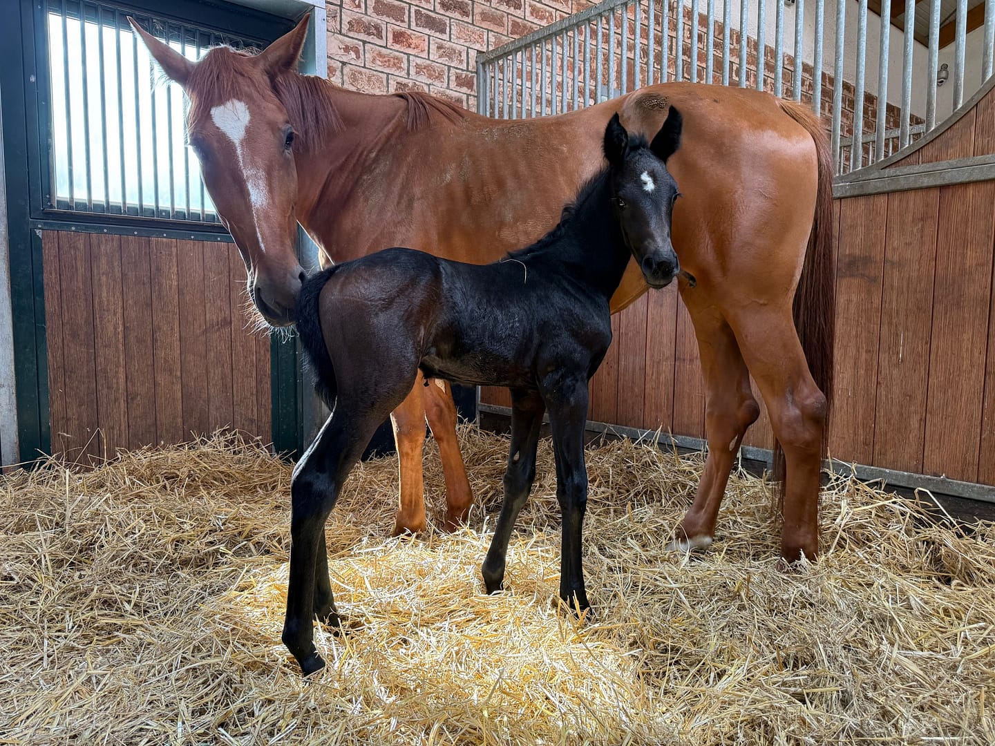 Thumbnail Coranar von der Mittelerde