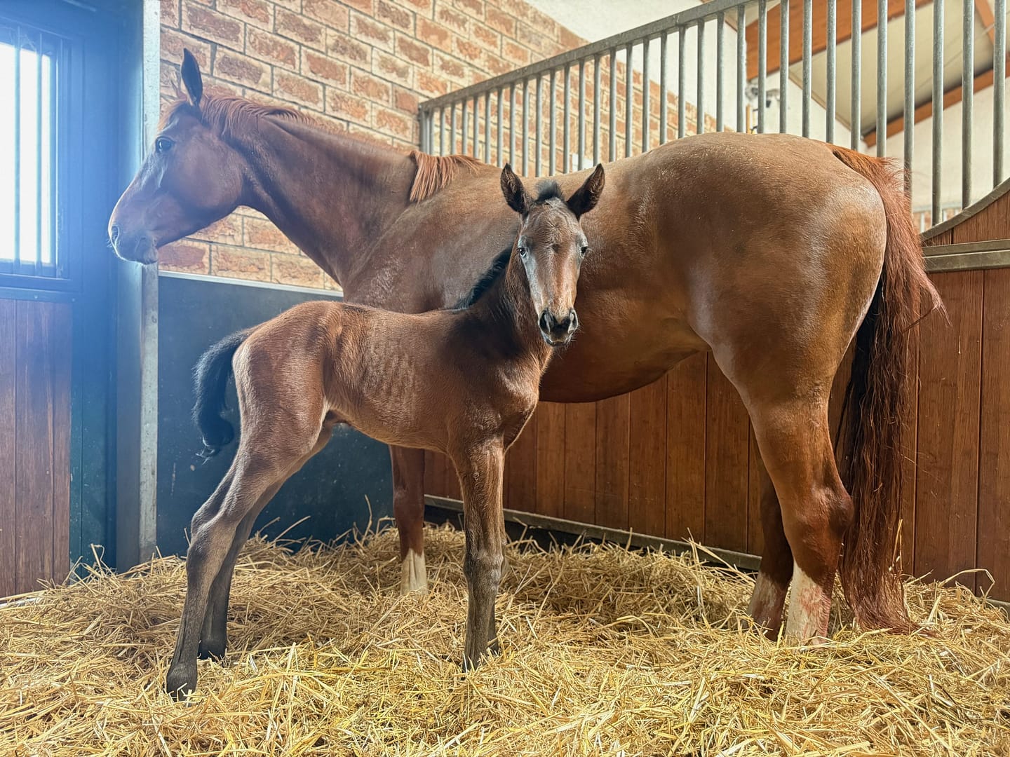 Thumbnail Juweline von der Mittelerde