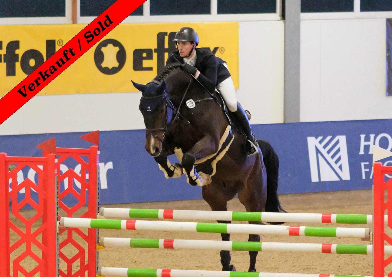 Thumbnail Conbrio von der Mittelerde