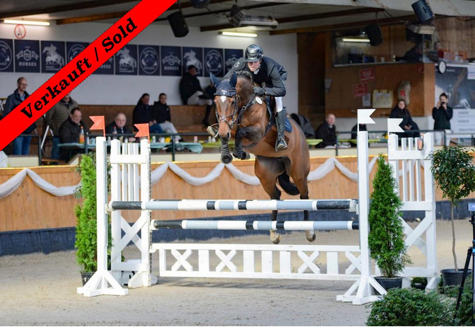 Thumbnail Trinidad ME