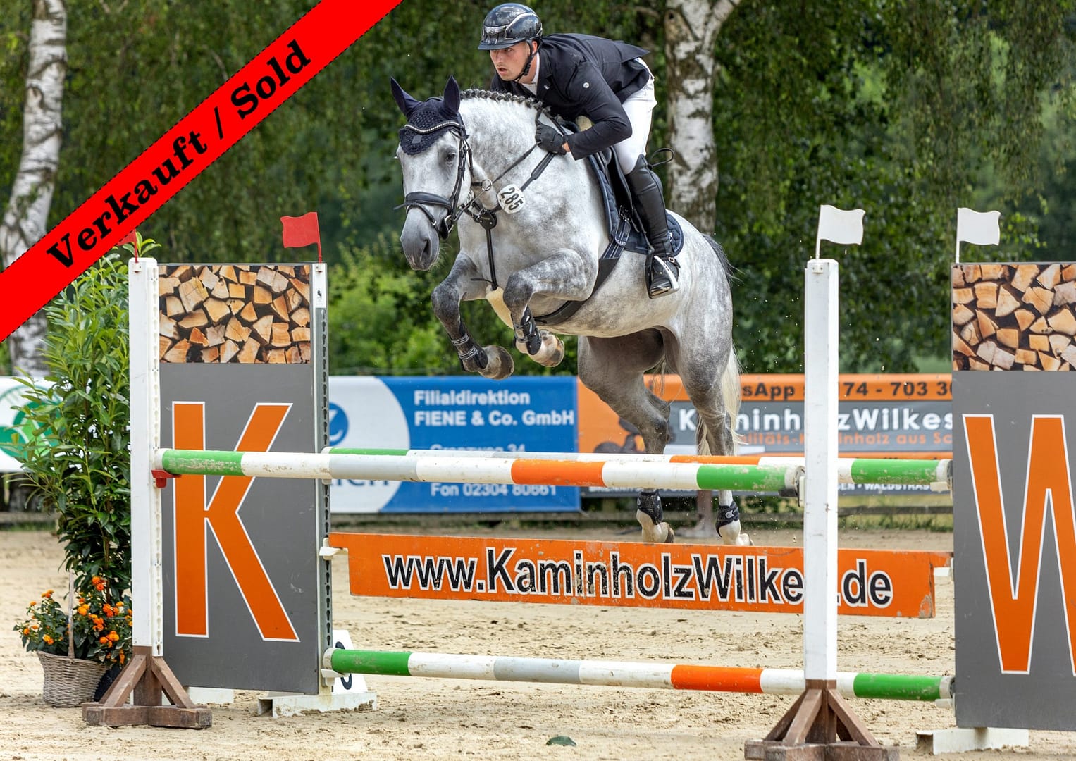 Thumbnail Carlotta ME