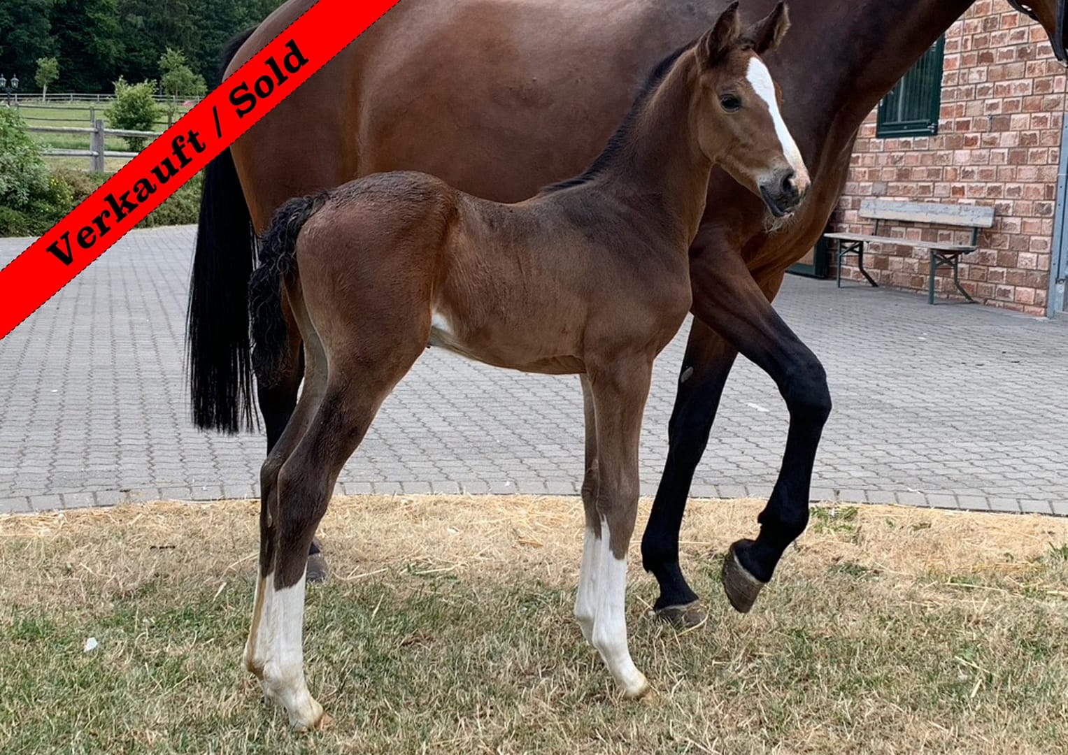 Thumbnail Heathrow ME Z