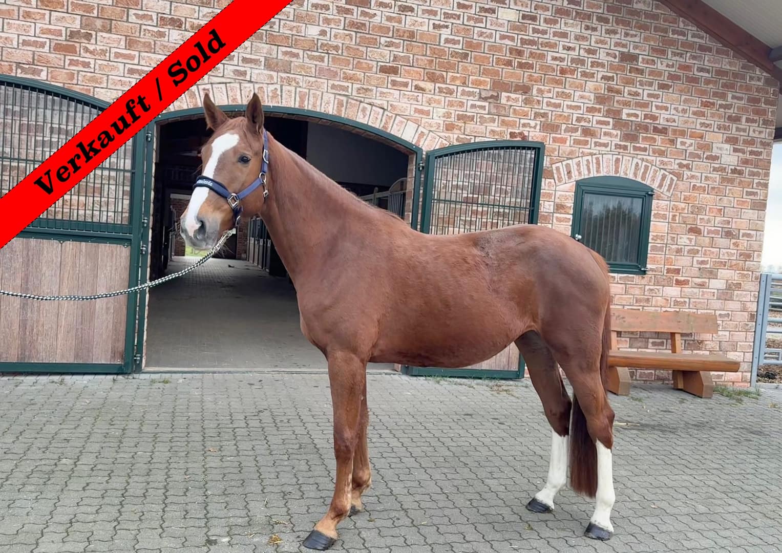 Thumbnail Kobra von der Mittelerde