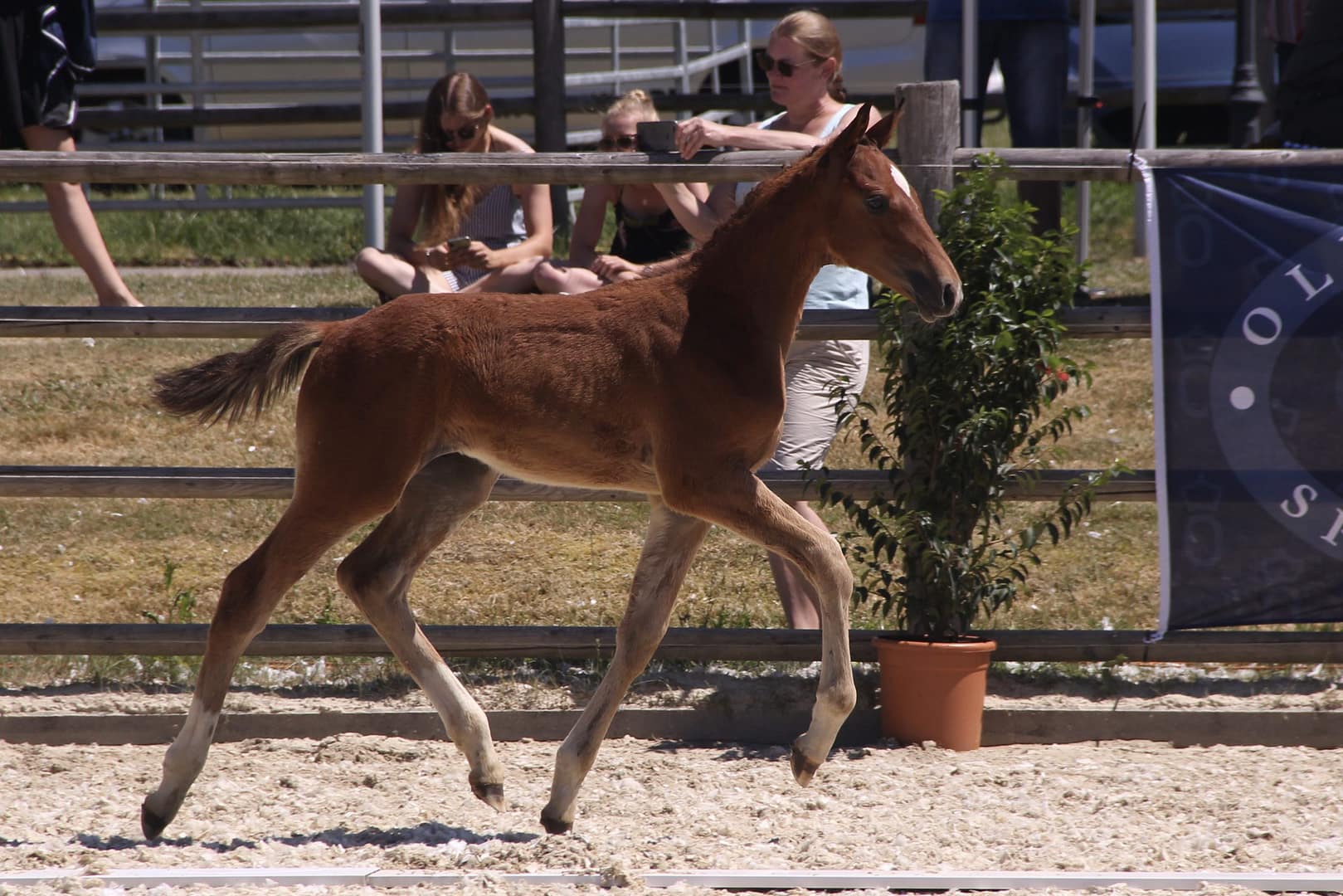 Thumbnail Have a Break ME