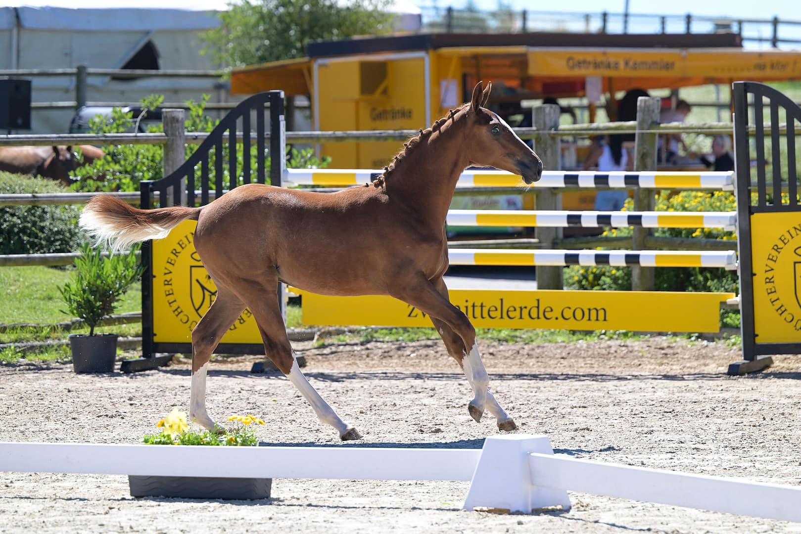 Thumbnail Hilda von der Mittelerde