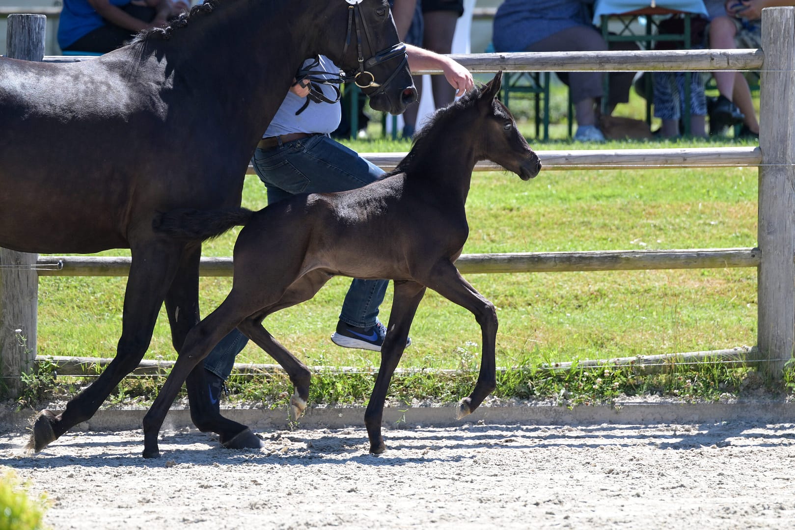 Thumbnail Perle von der Mittelerde