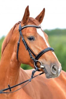 Thumbnail Golden Sunshine ME