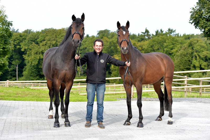 Thumbnail OL Elite Stute Romina HM