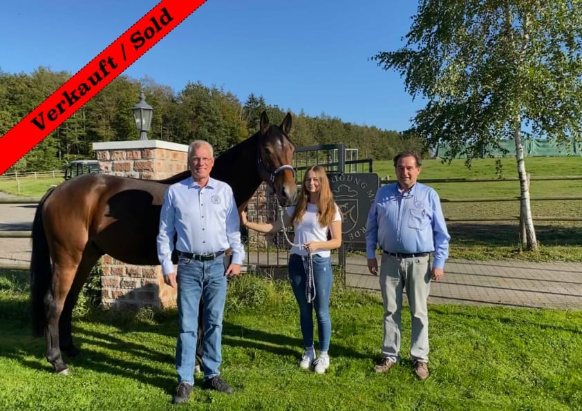 Thumbnail Verdino ME