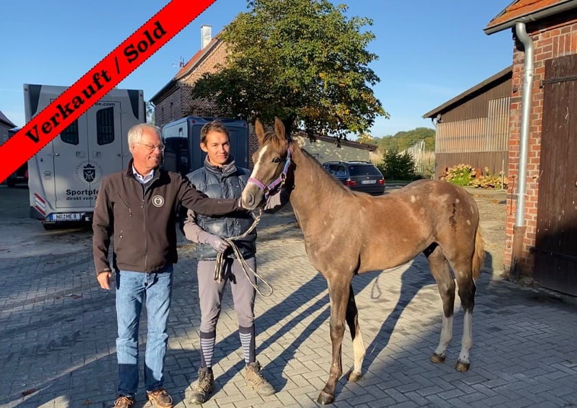 Thumbnail Gondor von der Mittelerde